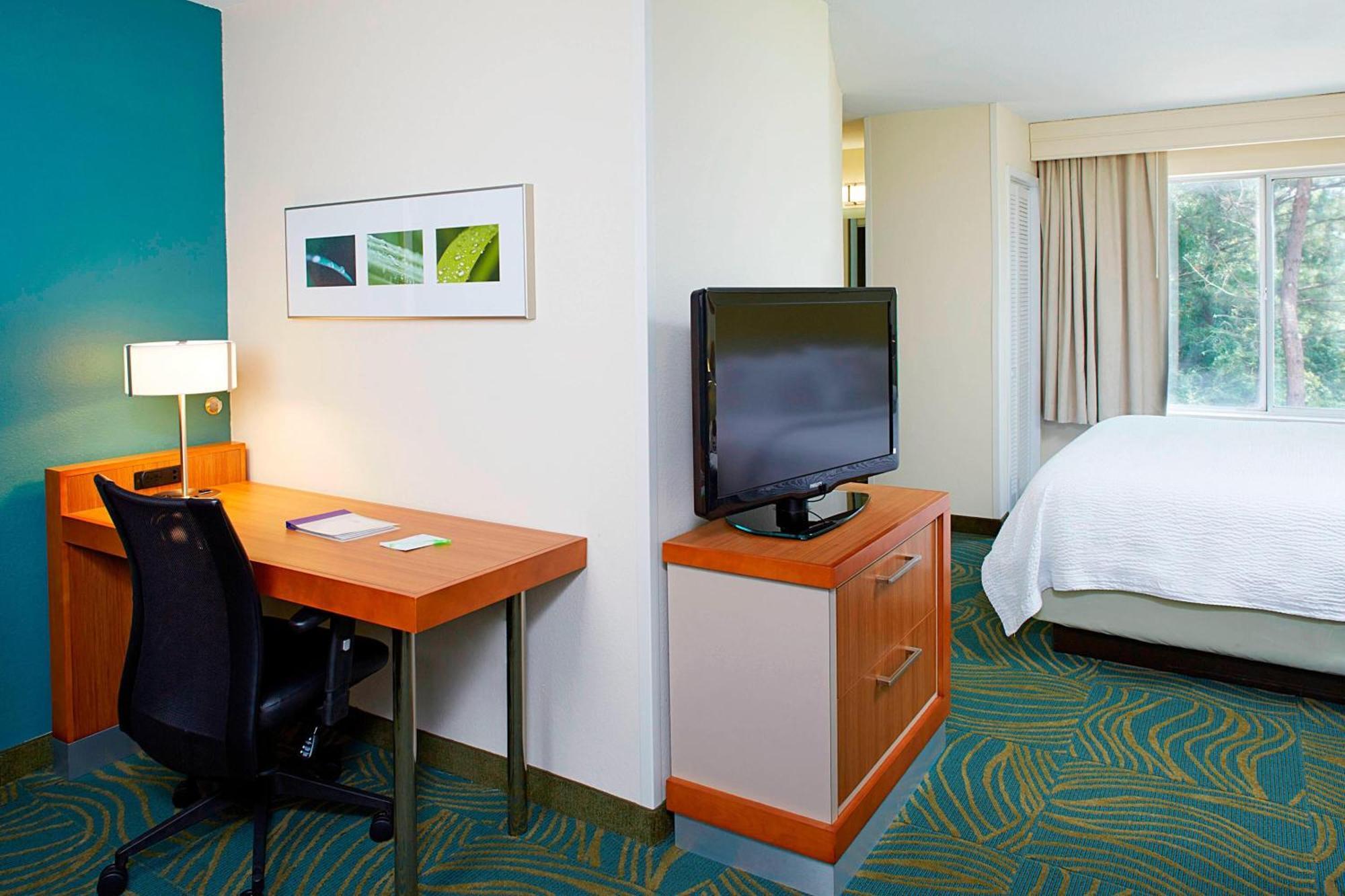 Springhill Suites By Marriott Atlanta Six Flags Lithia Springs Ngoại thất bức ảnh