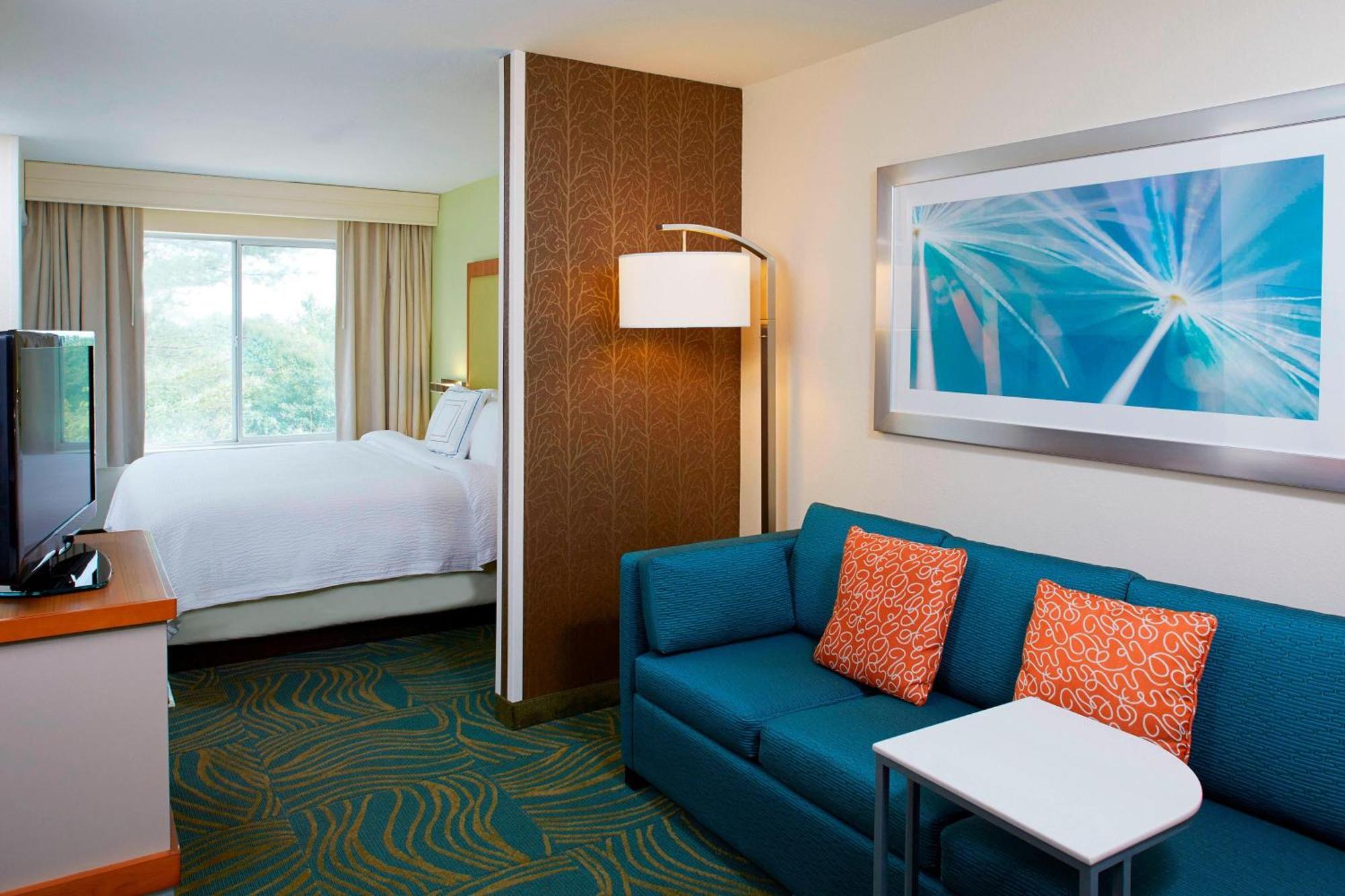 Springhill Suites By Marriott Atlanta Six Flags Lithia Springs Ngoại thất bức ảnh