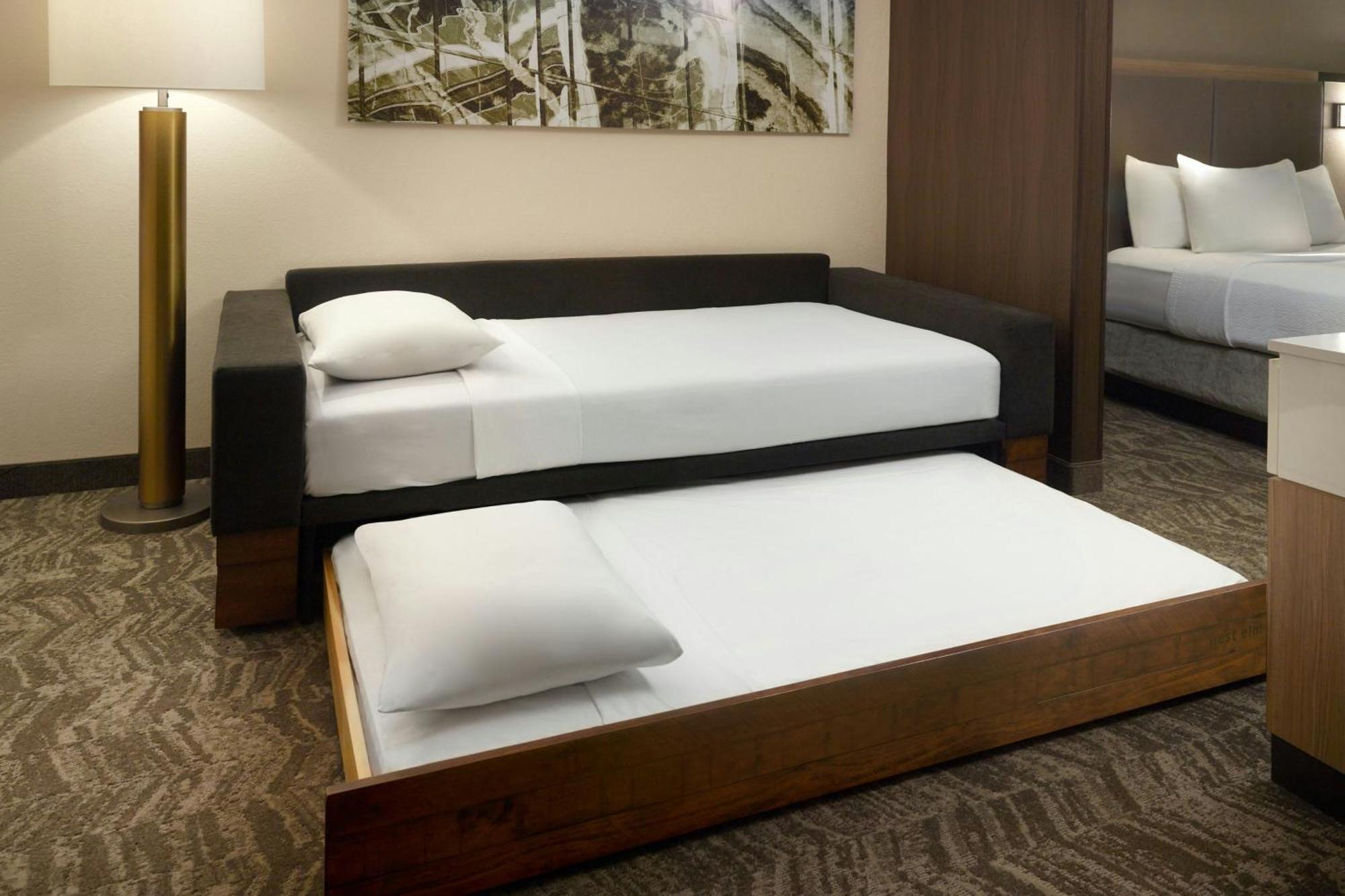 Springhill Suites By Marriott Atlanta Six Flags Lithia Springs Ngoại thất bức ảnh